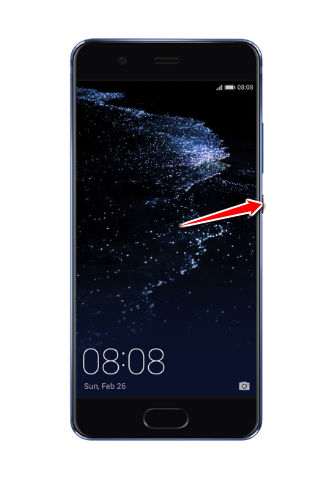 How to put Huawei P10 in Download Mode